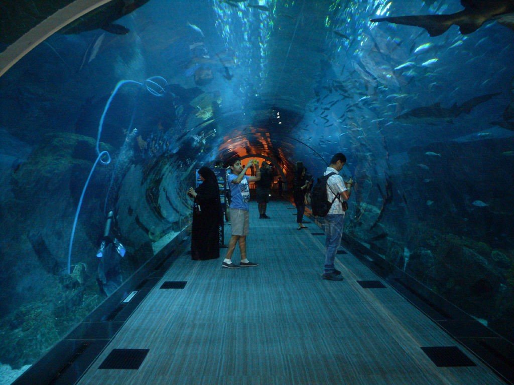 things to do in Dubai - Dubai Aquarium and Underwater Zoo 