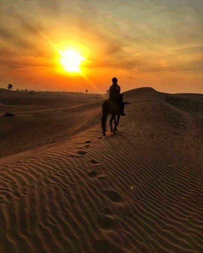 Dubai trip - Horse Riding at night