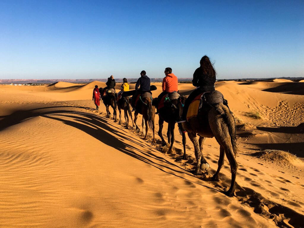 Dubai tour - camel ride 
