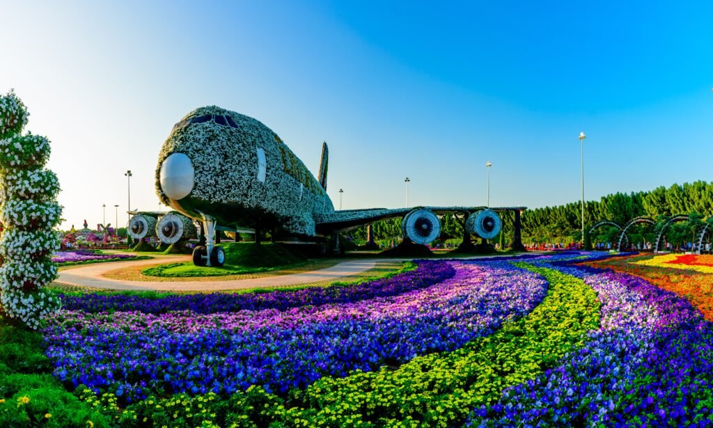 Dubai Activities - Dubai Miracle Garden 