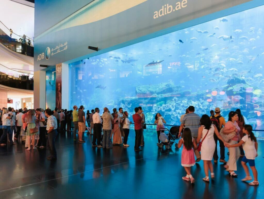 Dubai activities-Dubai Aquarium & Underwater Zoo 