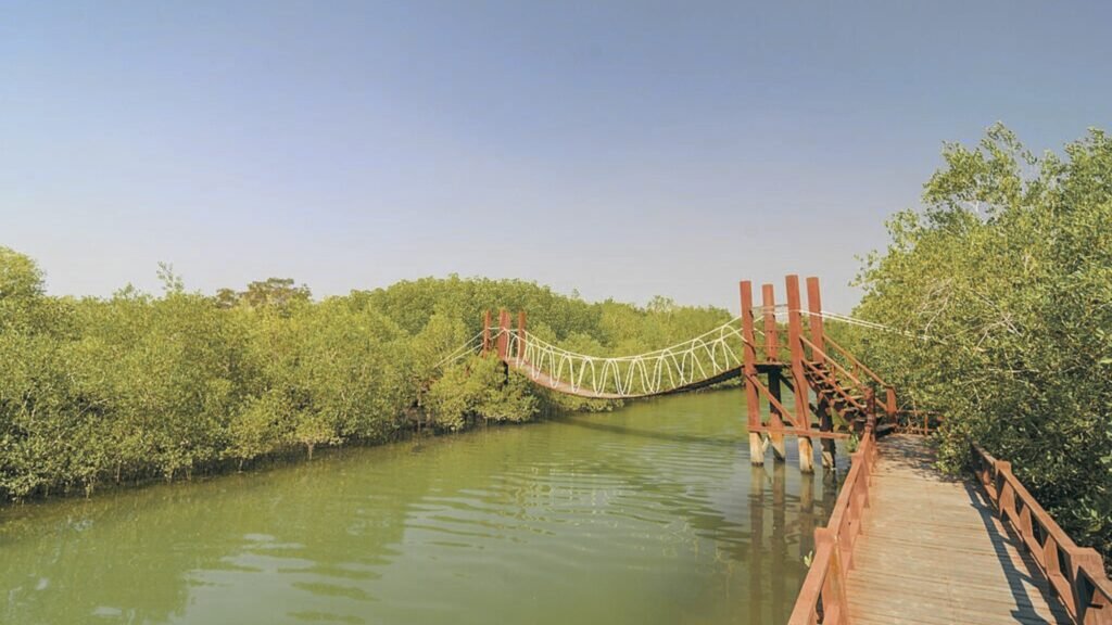 UAE emirates-The Wasit Nature Reserve, Sharjah-Ajman Border 