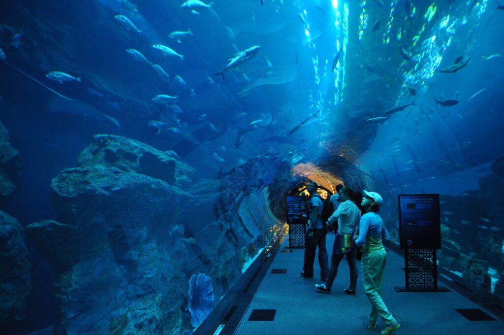 Dubai activities-Underwater World