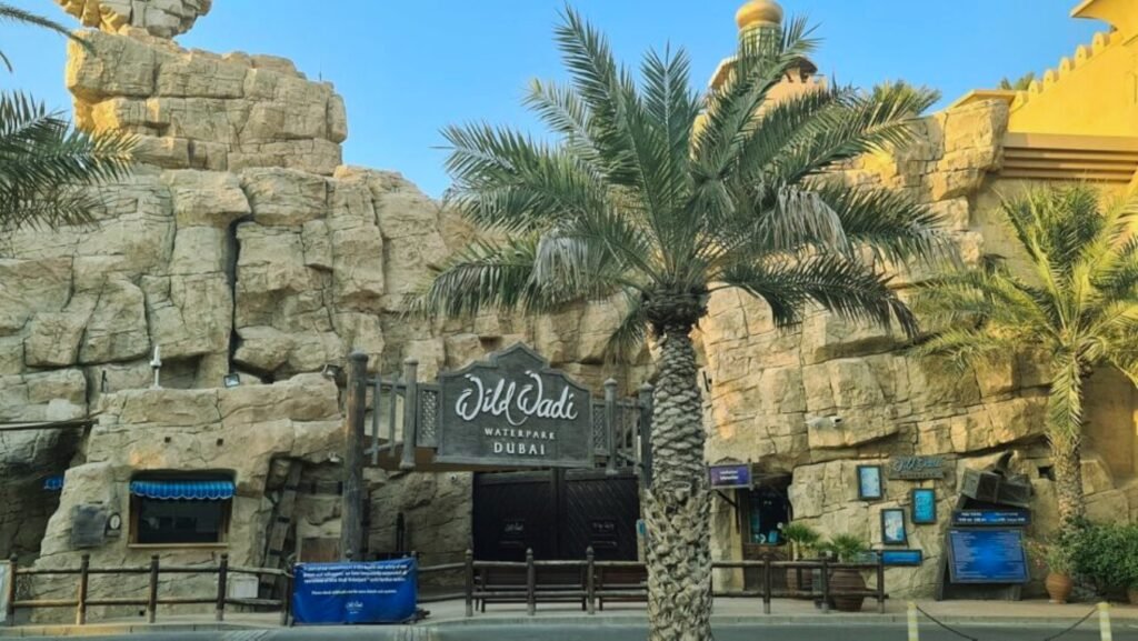 Dubai activities-Wild Wadi Water Park