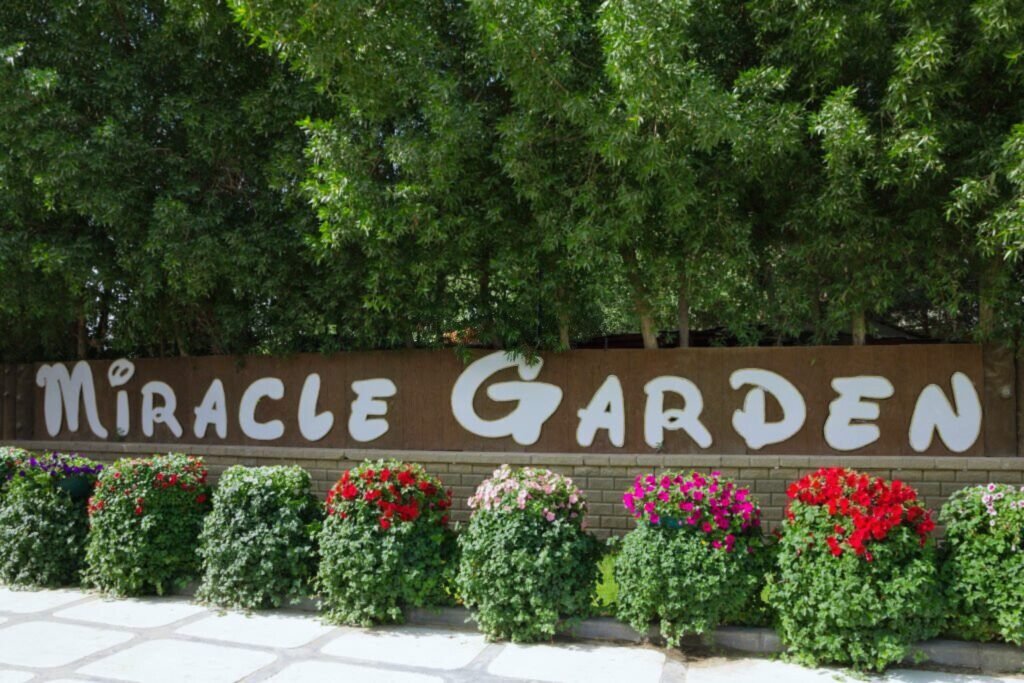 Dubai miracle garden-Activities in the Dubai Miracle Garden 