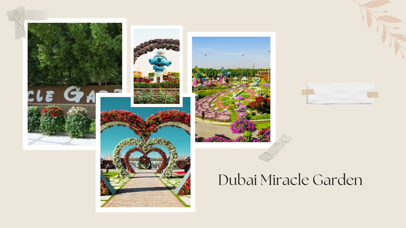 All about Dubai Miracle Garden